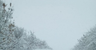 Фото И среди «физиков»  бывают мечтатели №6